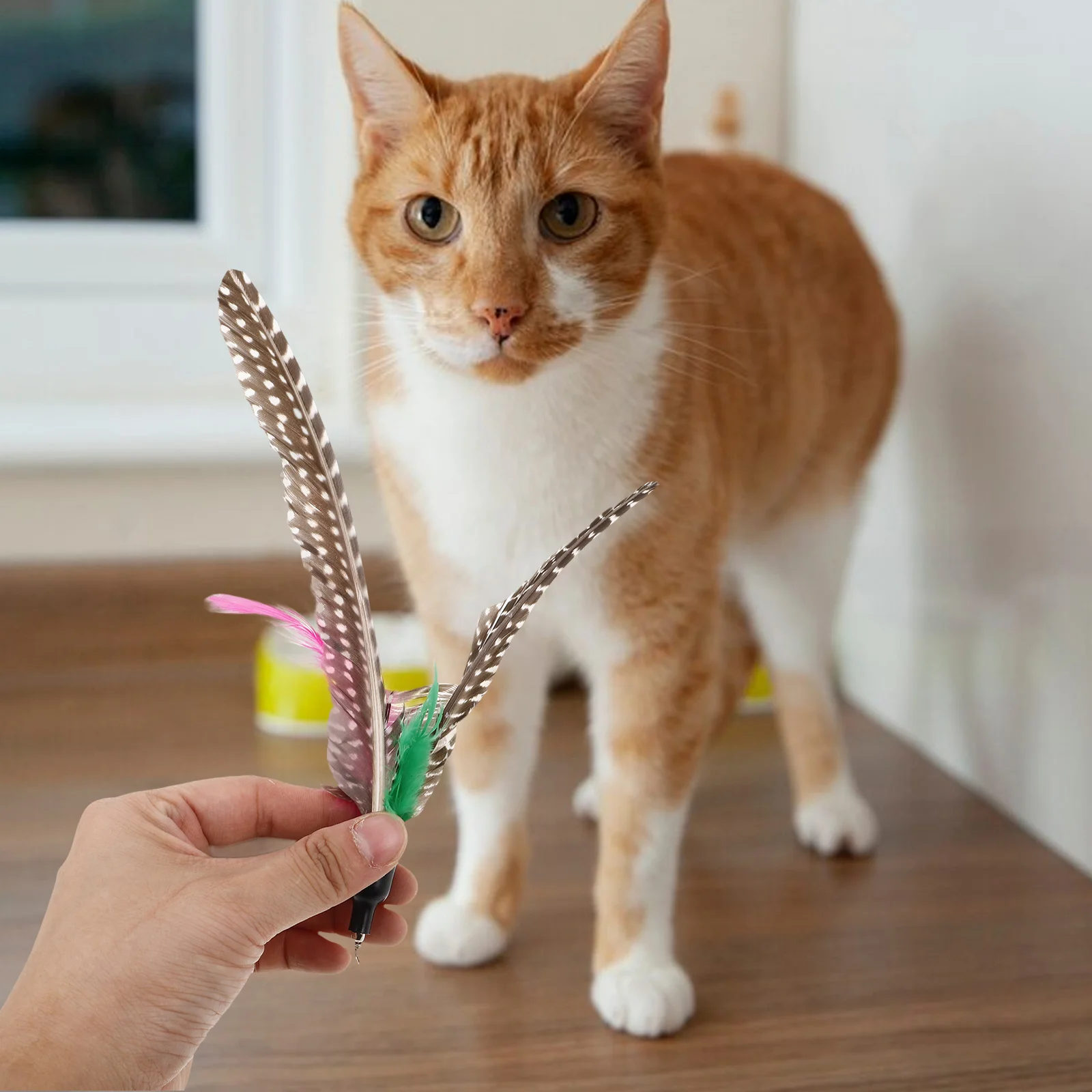 

5pcs Cat Teaser Toy Attachment Wand Pearl Replacement Chasing Bird Toys for Cats Pet Bonding Active Play