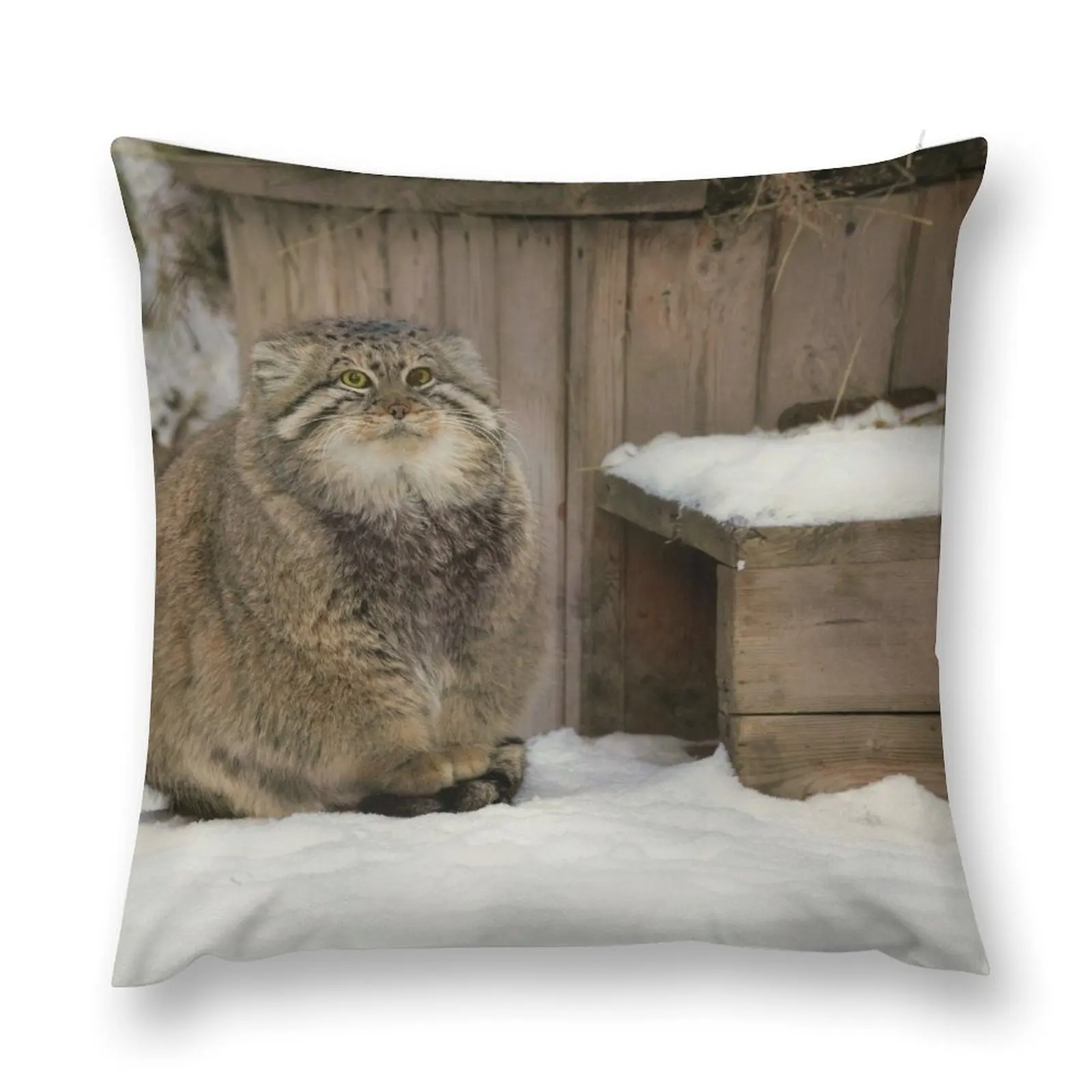 Zelenogorsk the Pallas's cat is warming his paws on a tail Throw Pillow Luxury Pillow Case Sofa Cushion Cover pillow