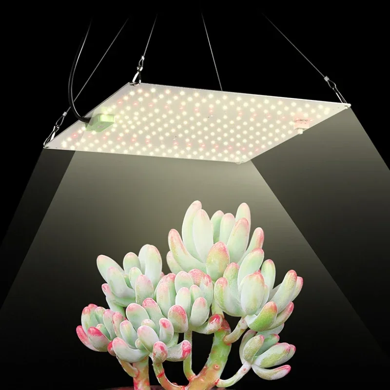 Kas Groenteboomgaard Plantengroei Licht Dimbaar Kwantumbord Plant Volledig Spectrum Vullicht
