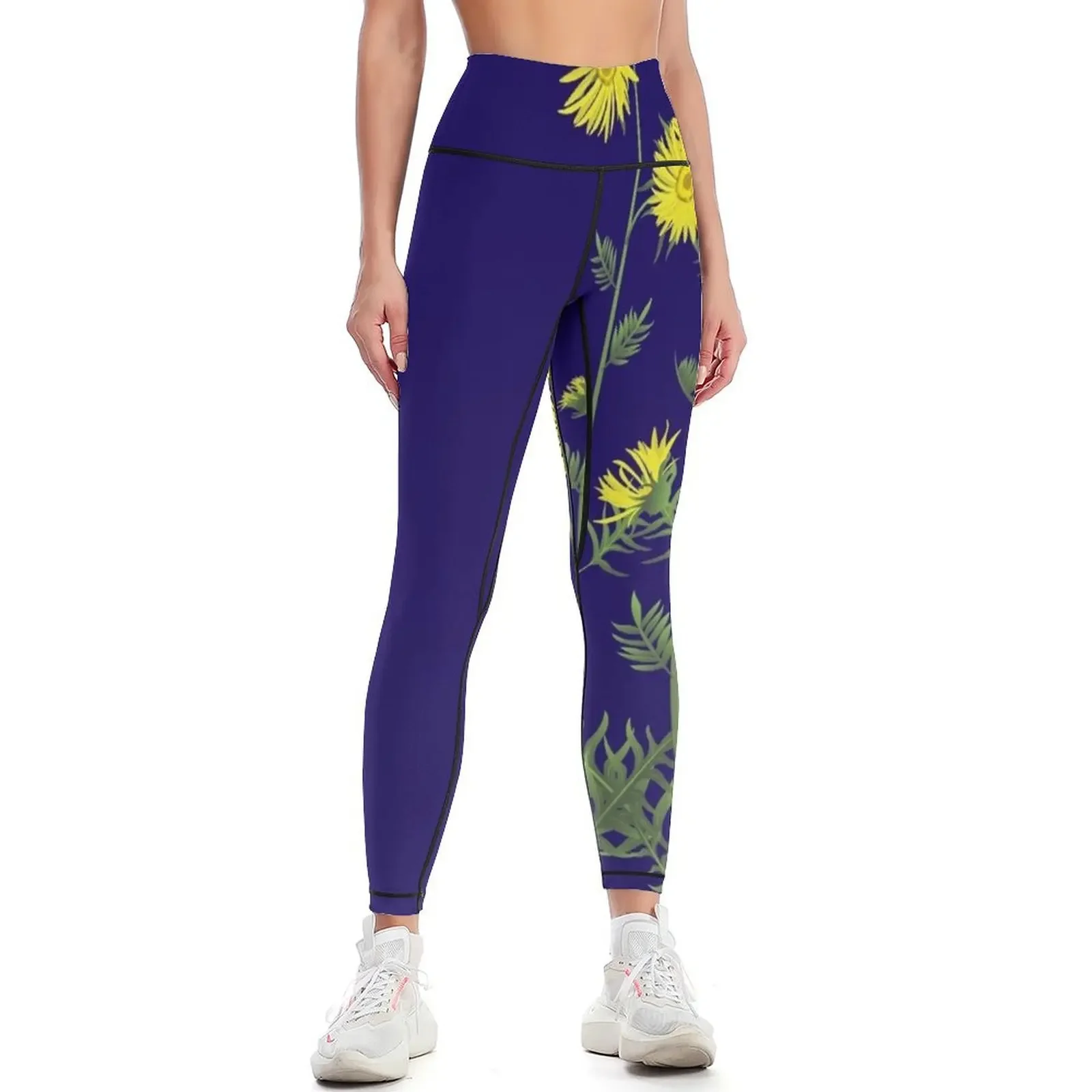 

Compass Plant on indigo Leggings Leginsy push up Clothing fitness Jogger pants Womens Leggings