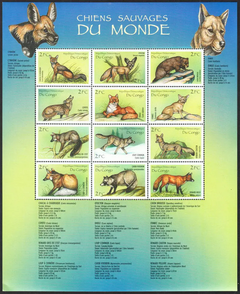 Congo Post Briefmarken Y2000 Wildlife Grey Wolf Red Fox Raccoon Sheet 12 Sammelbriefmarken Material für Scrapbooking – Detail 1