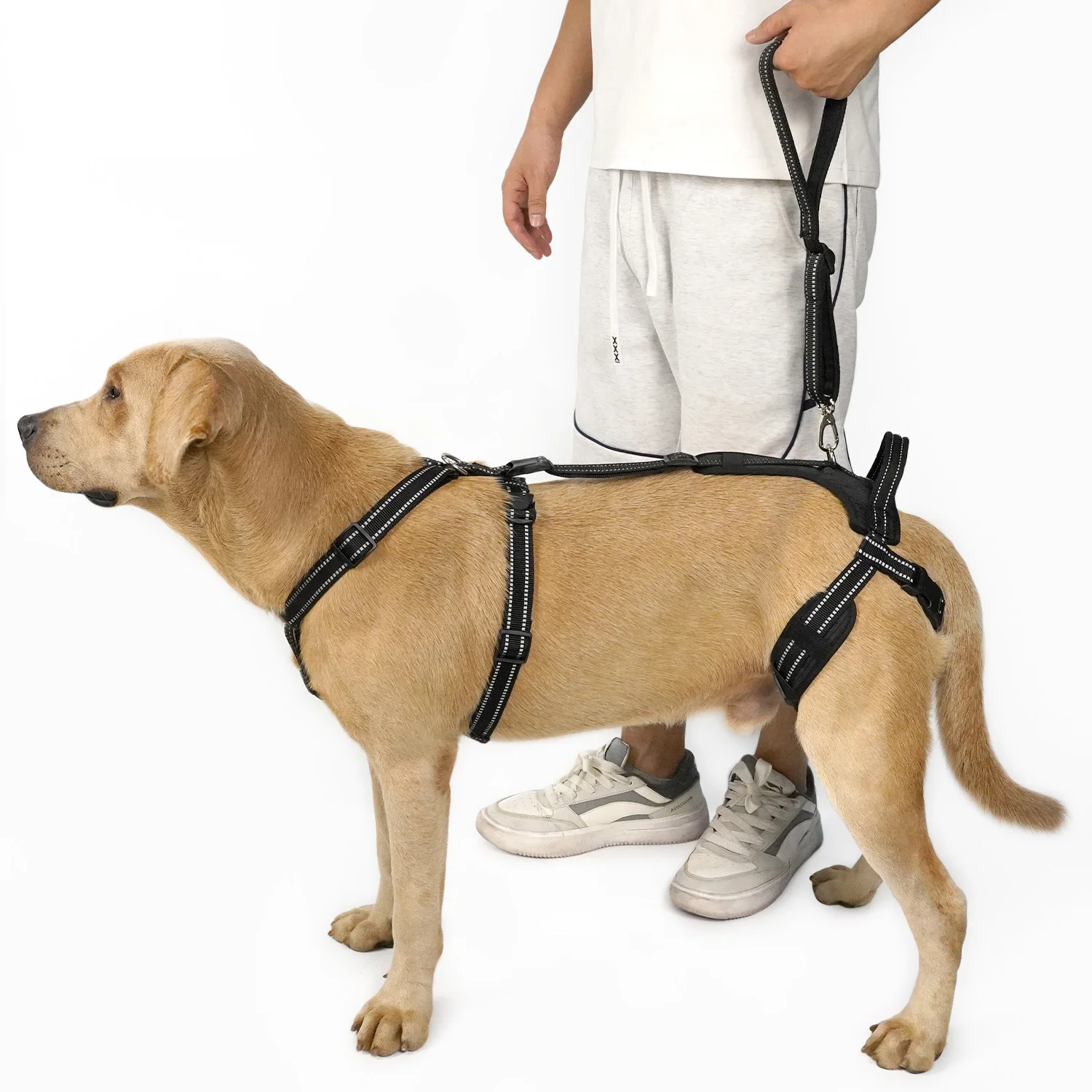 Correa de Soporte Ajustable y Reflectante para las Patas Traseras de Perros, Cinturón Antideslizante para Ayudar a Caminar, para Perros Mayores con Lesiones en las Articulaciones