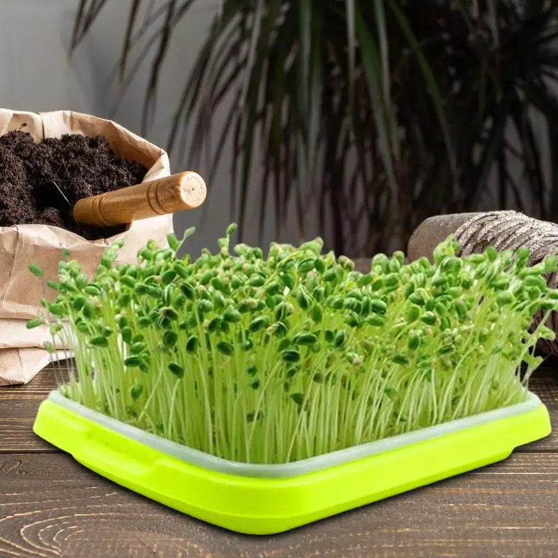 Plastic Plant Sprouter Tray Bean Sprout Sprout Plate Soilless Cultivation Water Cultivation Seedling Basin Seed Sprouter