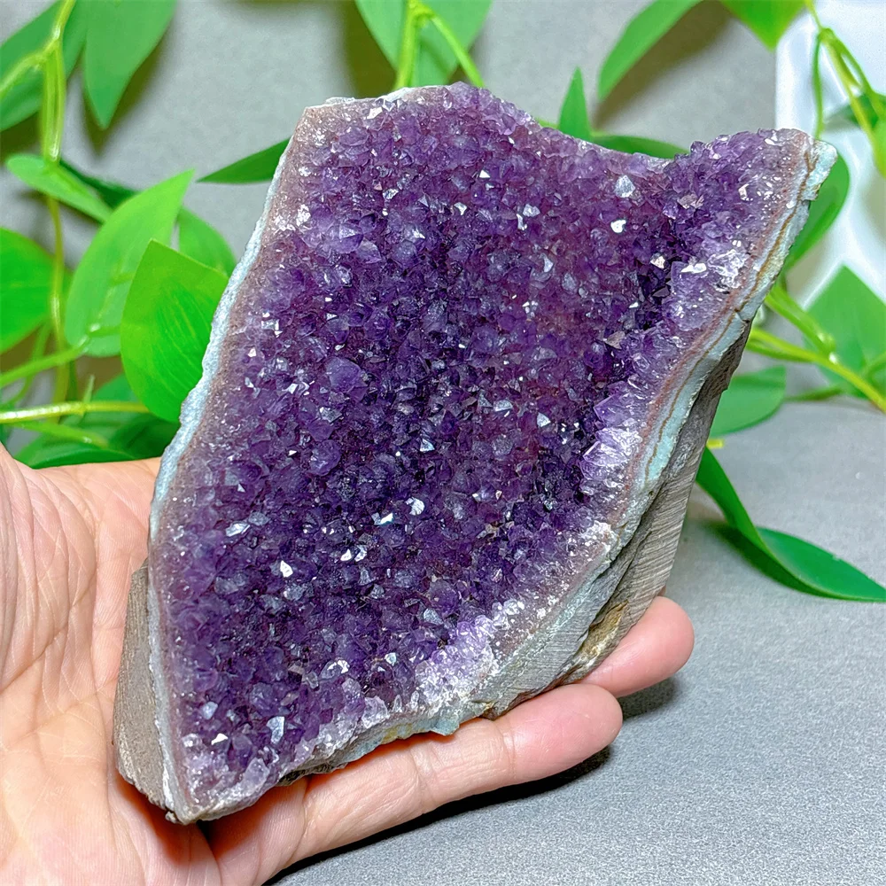 Uruguay Amethyst Free Form Crystal Natural Quartz Stone Home Decoration Minerals Reiki Craft Gifts Energy Spiritual Garden