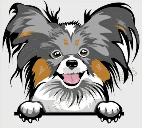 For PAPILLON DOG Peeking Dog Breed Color Window Wall Laptop Sticker w/proof