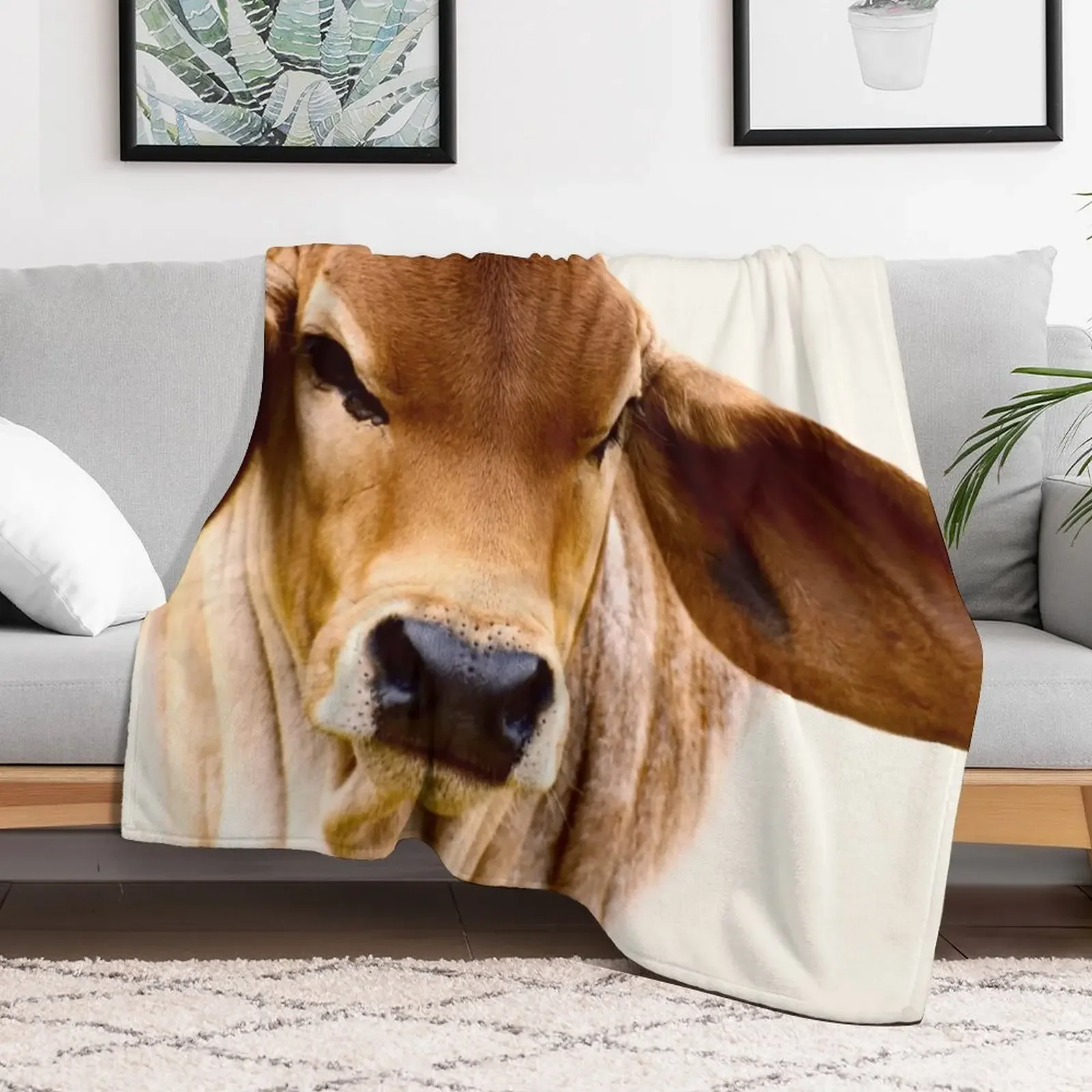 BRAHMAN CALF, PORTRAIT Throw Blanket christmas decoration Luxury Brand Soft Beds Blankets