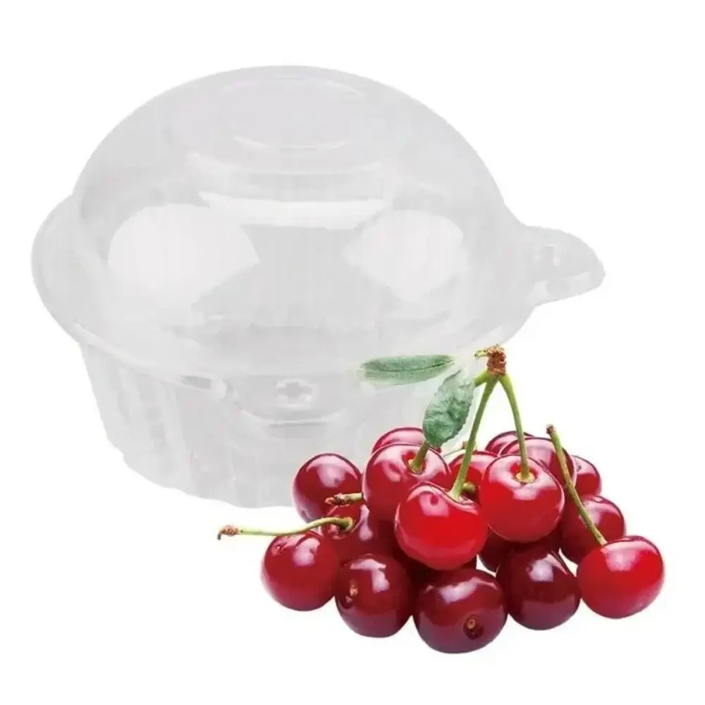 

50/100 PCS 2025 Disposable Cake Packaging Box Plastic Multifunctional Muffin Container Multipurpose Pastry Holder