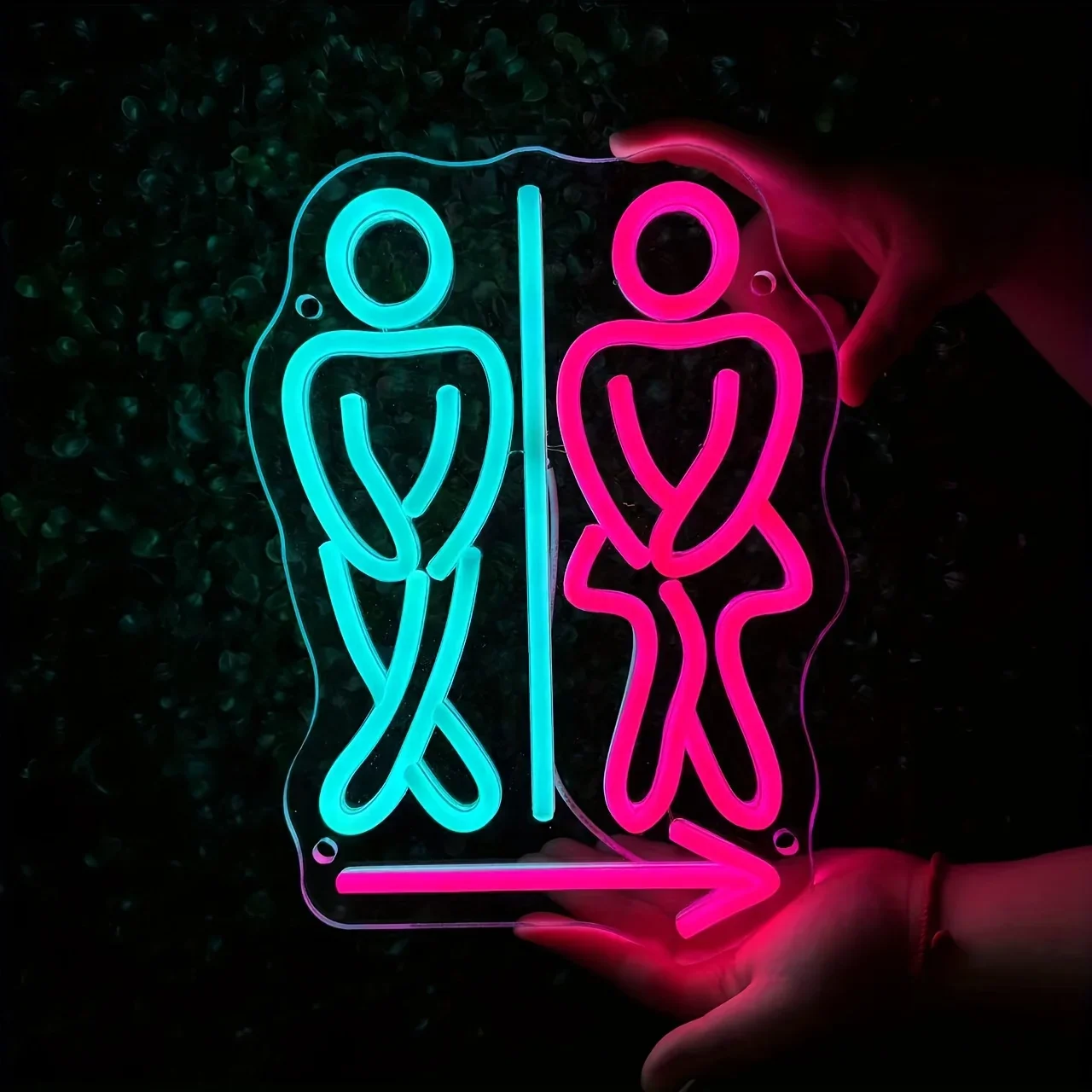 

Toilet LED Neon Sign, USB Dimmable, Suitable for Shopping Malls, Shops, Public Toilets Signs, Wall Mounted Neon Light