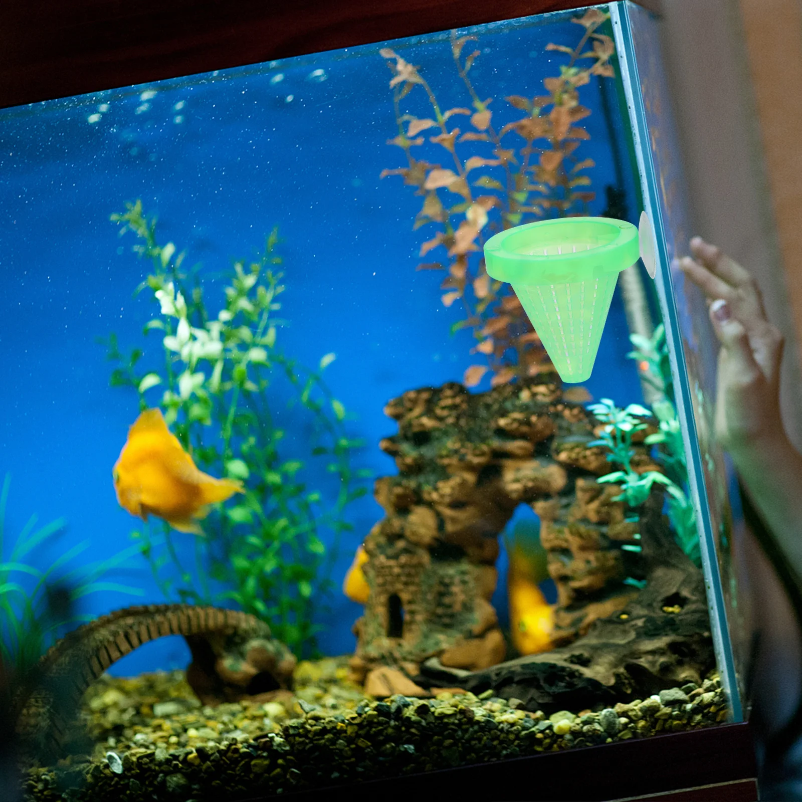 

10Pcs Suction Cup Aquarium Fish Feeder Durable Plastic Multipurpose Tool for Live Worms and Water Grass Growing