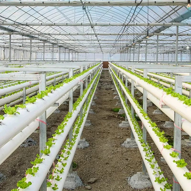 100Pcs Bodenlosen Hydrokultur Gartenpflanzen Werkzeuge Gepflanzt Schwamm Gemüse Anbau System Kindergarten Samen Pflanzung Tabletts Schwamm – Detail 18