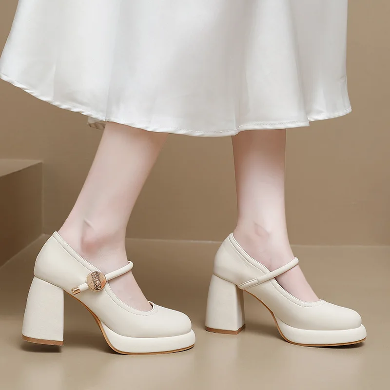 

High heels women 2026 new autumn dress Mary Jane shallow mouth small leather shoes