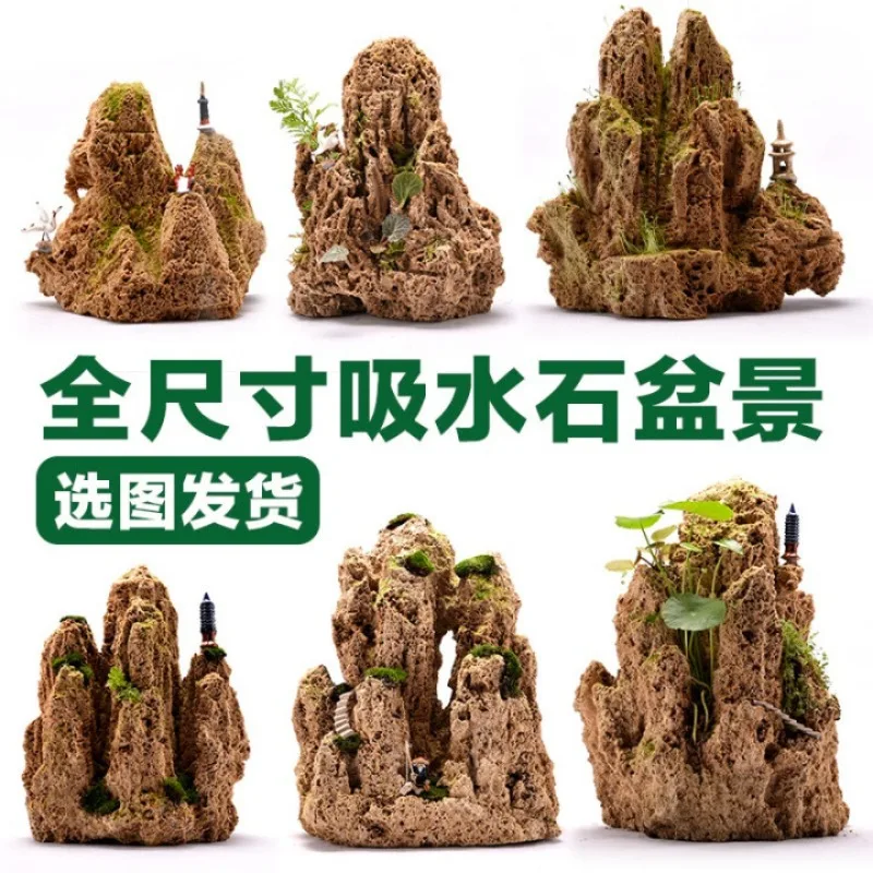 Shiguang Station Absorbent Stone Natural Stone Bonsai