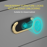Biometric Fingerprint Drawer Lock Cabinet Lock Invisible Keyless Unlock Electronic Fingerprint Furniture Locker with Handle