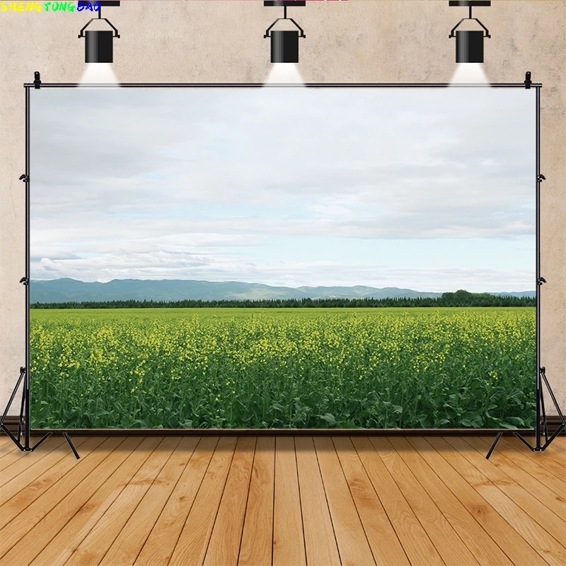 

Photography Background Blue Sky And White Clouds Road Snowy Mountains Clouds Beautiful Scenery Backdrop Landscape Seaside FJ-02