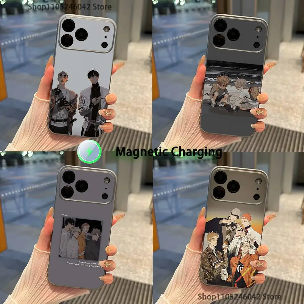 

19 days For iPhone 17,16,15,14,13,12,11,Pro,Max,Plus Magnetic Wireless Charging Transparent gray Phone Case