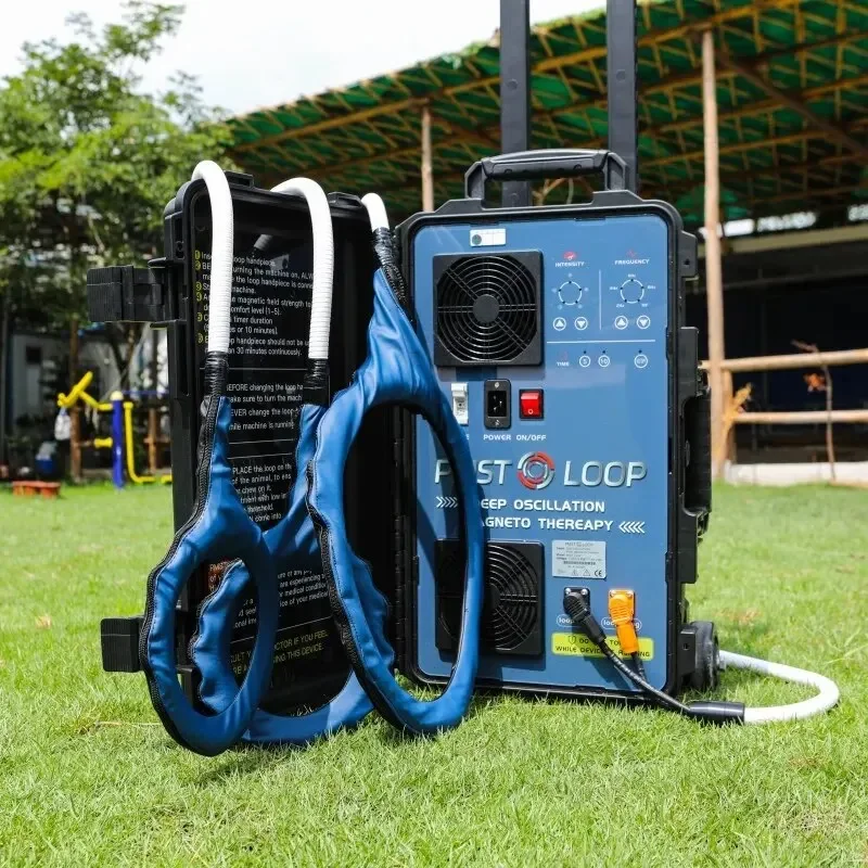 Equine PEMF Physiotherapy Magnetic Therapy Device for Muscle Pain Relief Direct from Factory Veterinary Equipment for Horses