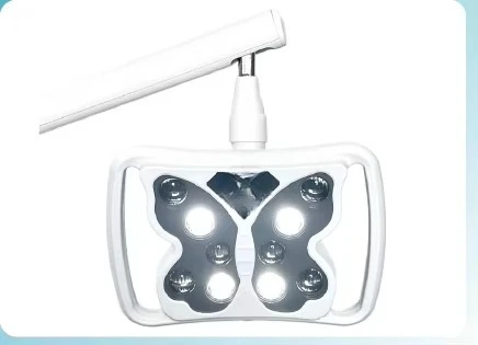 LED Lamp with Teeth Whitening LED Light Oral Lamp Used on Dental Unit Chair Surgical Light