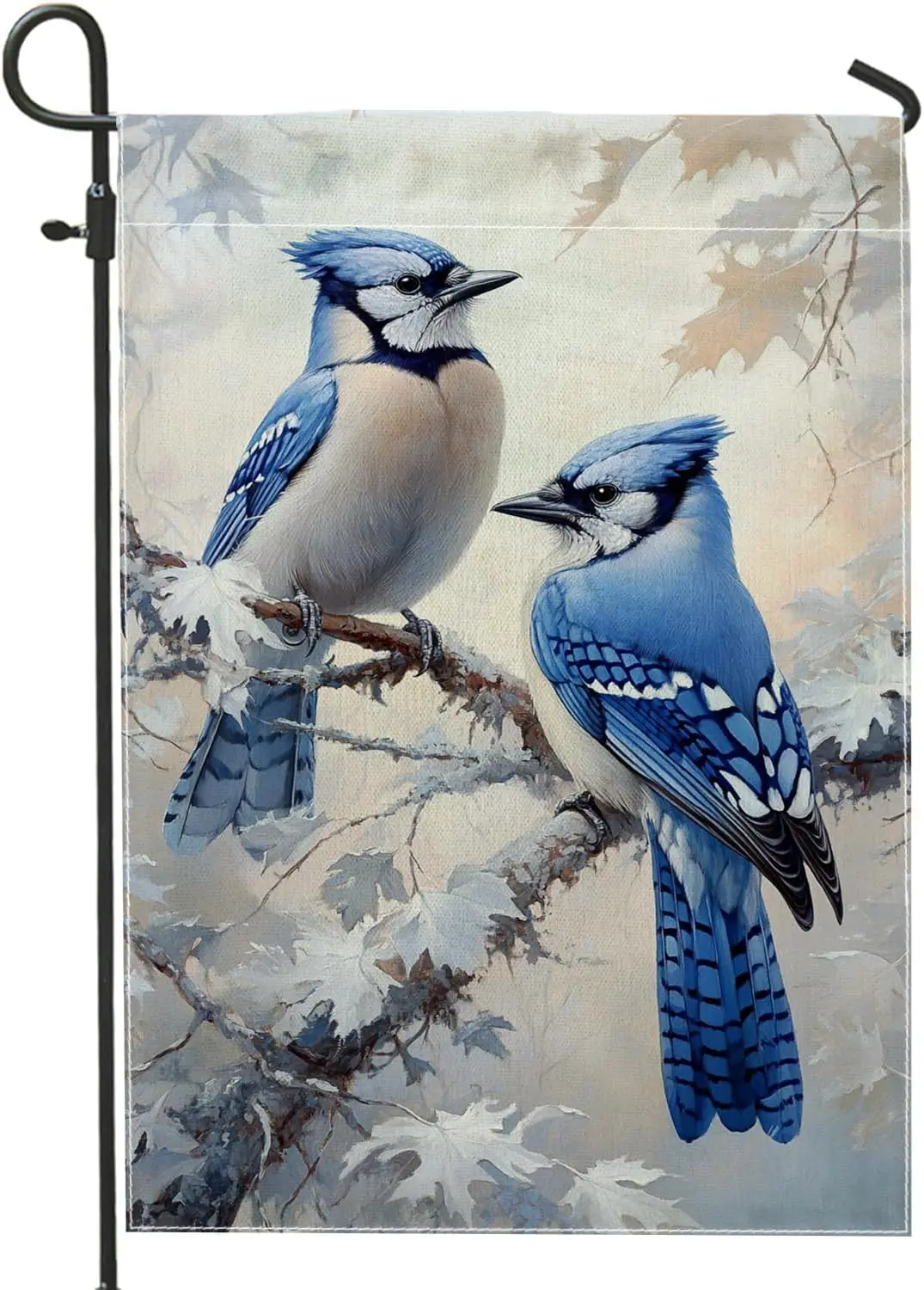 Blue Jay Birds Gard…