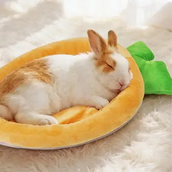 🥕🐰 Give your little companion a cozy spot to relax! This adorable carrot-shaped pet mat is soft, breathable, and perfect for hamsters, bunnies, puppies, and kittens to nap and lounge in comfort. 🐹🐶🐱💕 Ready to add some carrot-cute comfort? Grab one 1