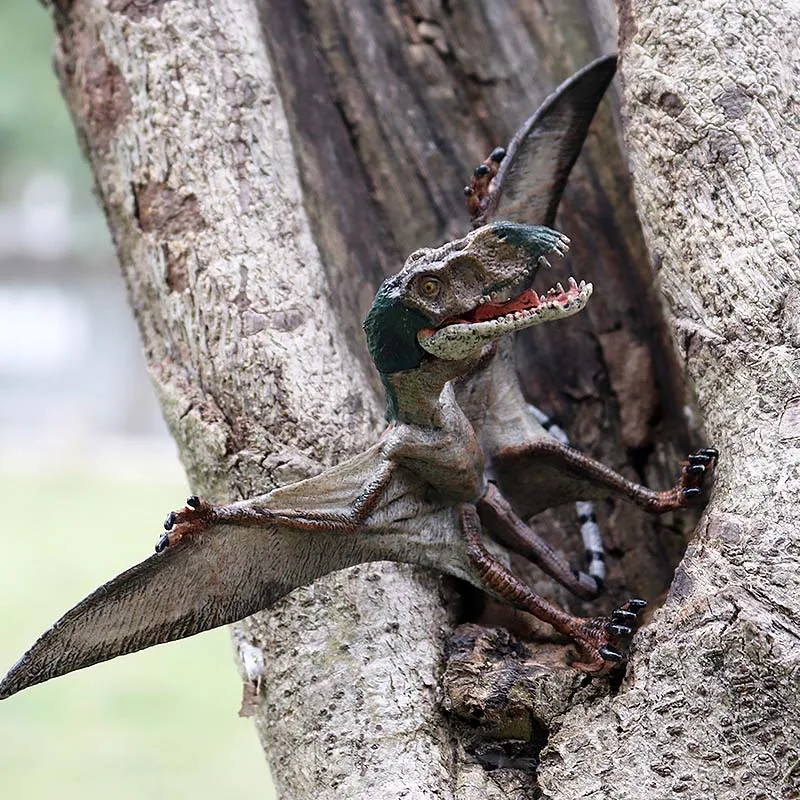 Mô Phỏng Dinosaurio Sinh Học Giáo Dục Pterosaur Allosaurus Mô Hình Khủng Long Dinosaurios Đồ Chơi Cho Trẻ Em Kid Tặng 4-6Y