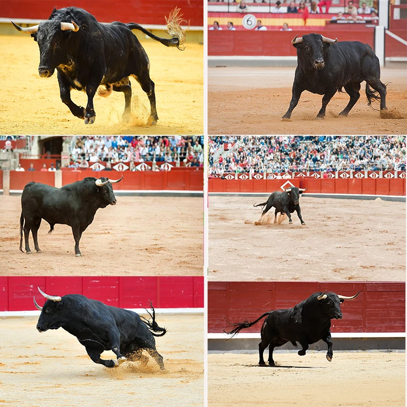 Spanish Bullfight Photography Backdrop Bullring Stadium Arena Bullfighting Competition Race Background Bullfight Theme Party