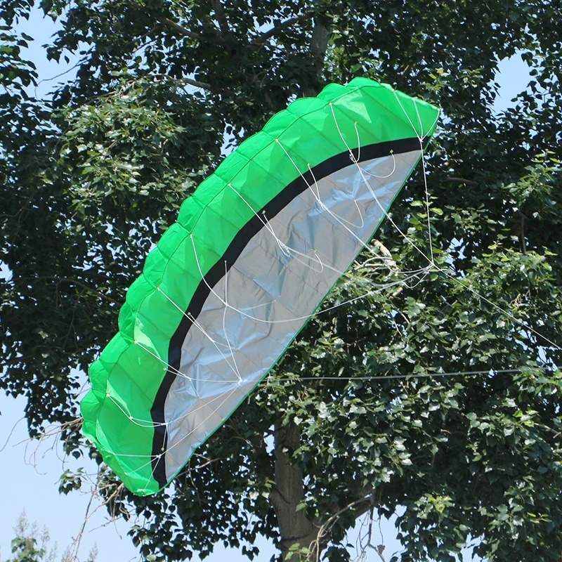 Paradise Bird 2,5 m doble línea acrobacias deportes cometa suave parafoil cometa Surf volando deportes al aire libre cometa juguetes al aire libre Kiteboard fábrica