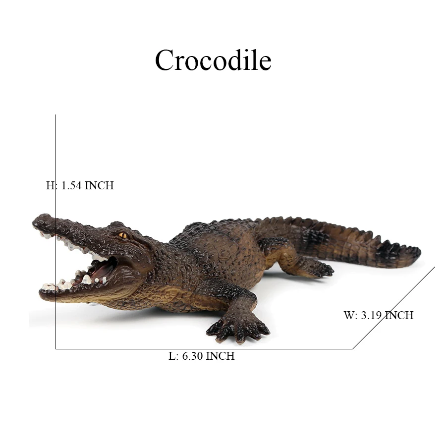 Giocattolo di coccodrillo Figure Giocattoli Modello di coccodrillo Ciclo di vita Playset Figurine di animali Action Figure Rettile Animali Regali per bambini Giochi