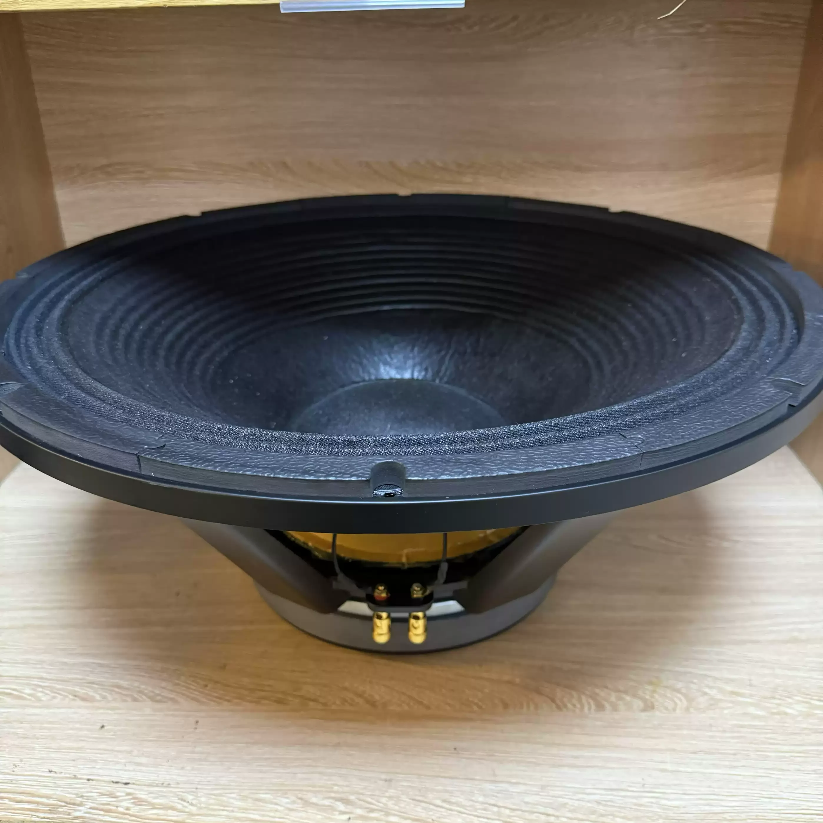 21 - inch Full range Mid bass Speaker, 250 Magnet 125 Core, High  power, for KTV, Bar and Stage Performances