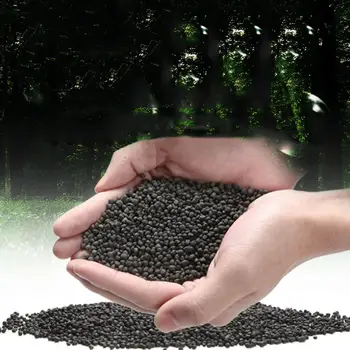 12 最佳銷售 水族箱種子 - №9