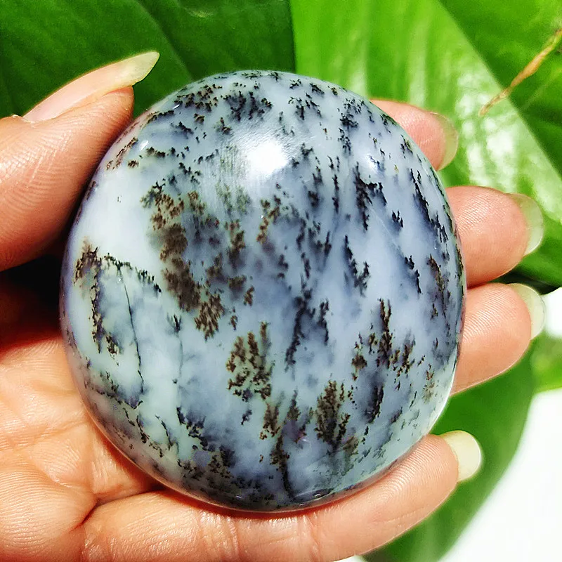 Natural Dendritic Opal Stone Trees Water Grass Crystal Palm Spiritual healing Crystals feng shui Room Decoration Home