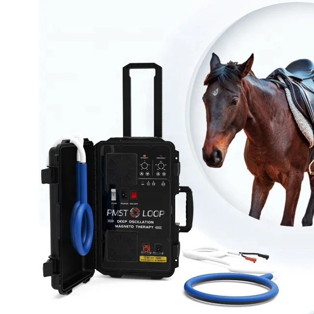 

vet horse equine pain relief back pain relief