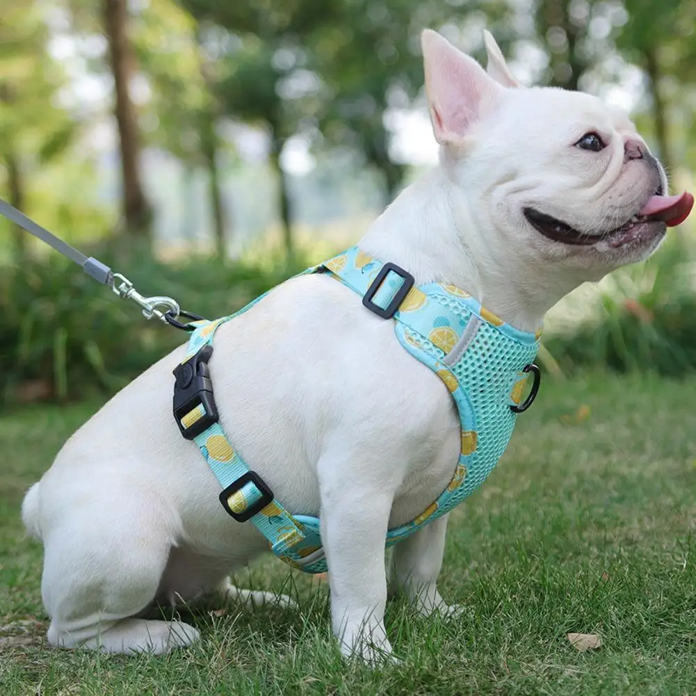 Pet Traction Harness Large-hole Mesh Chest Fruit Print Chest Dog Traction Rope Dog Collar Seat Belts