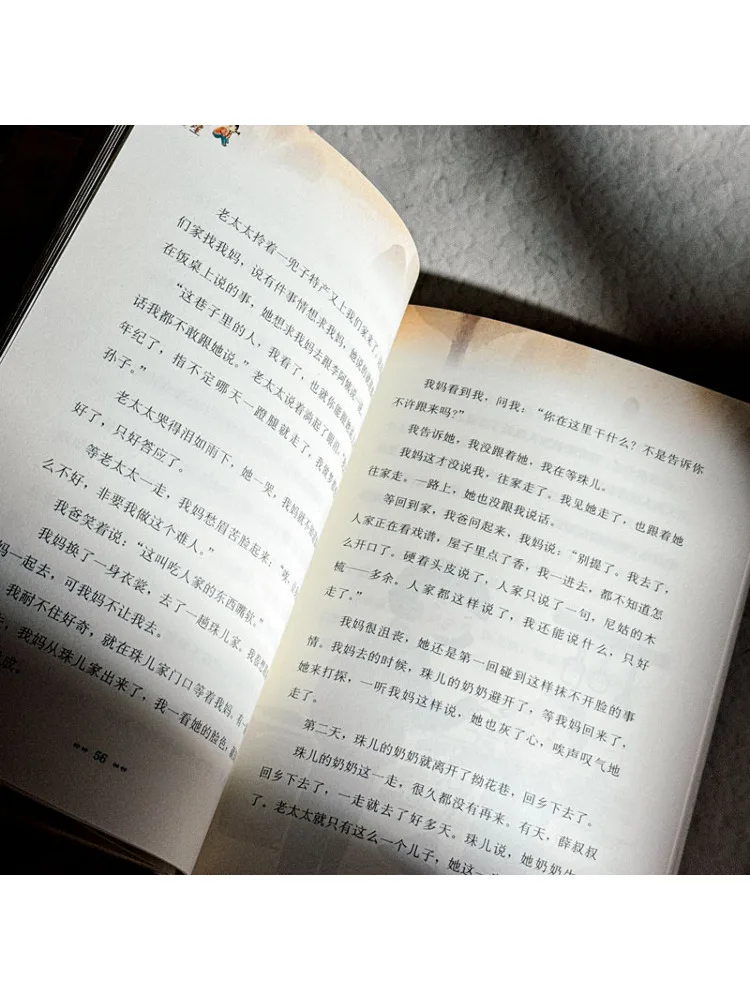 Book-Winshare Wuzhou Star Girl's Coming Of Age Novel Our Alley Of Intricate Patterns