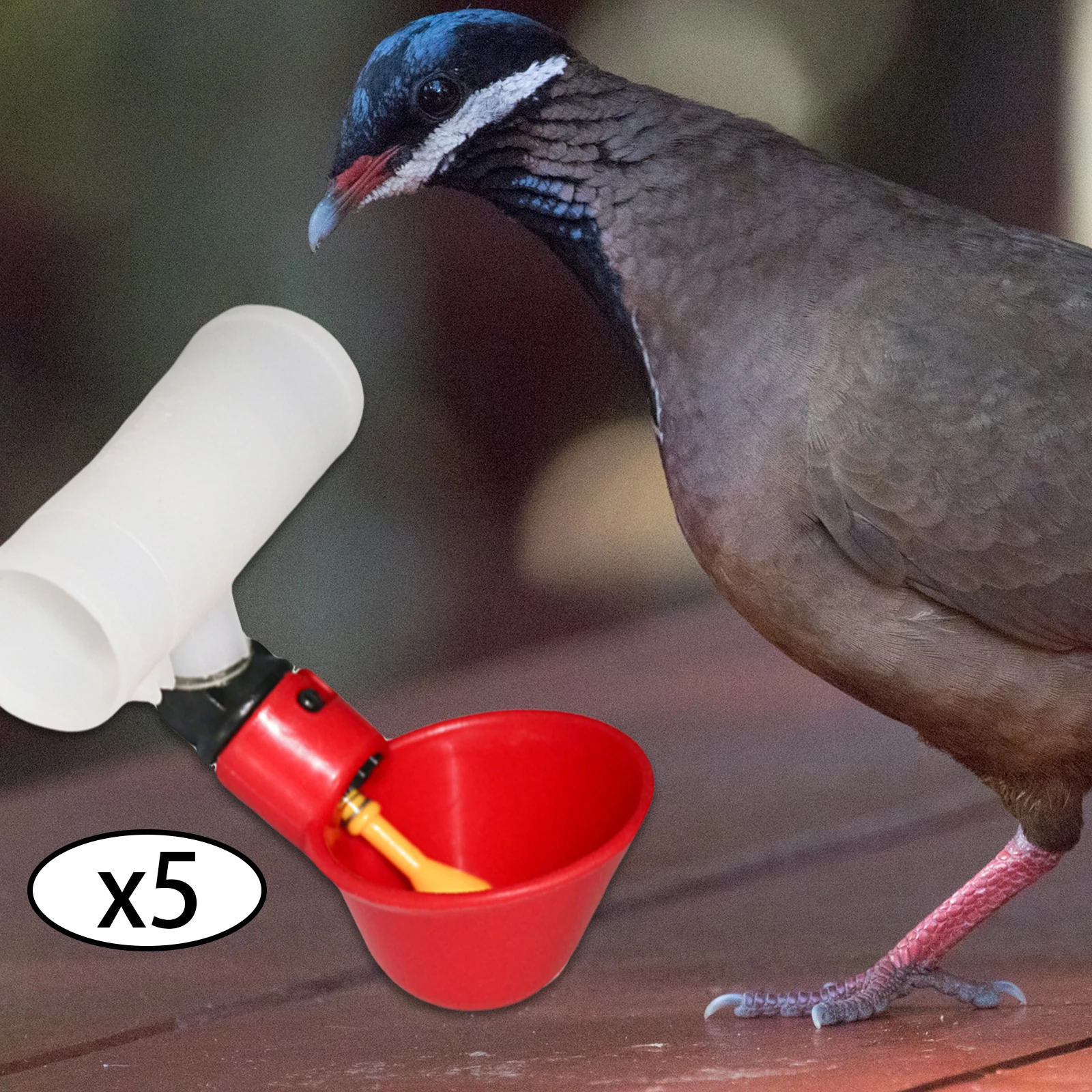 5Pcs Plastic Poultry Drink Cup Automatic Chicken Feeder Water Drinking Bottles for Chicken Hen Bird Duck Goose Food Dispenser