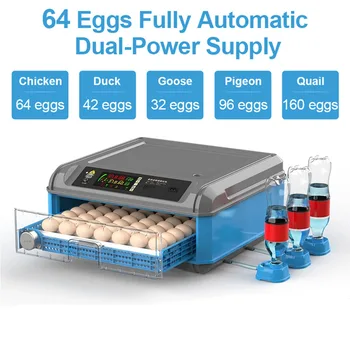 24-64 Egg Incubator Fully Automatic Digital Incubator
