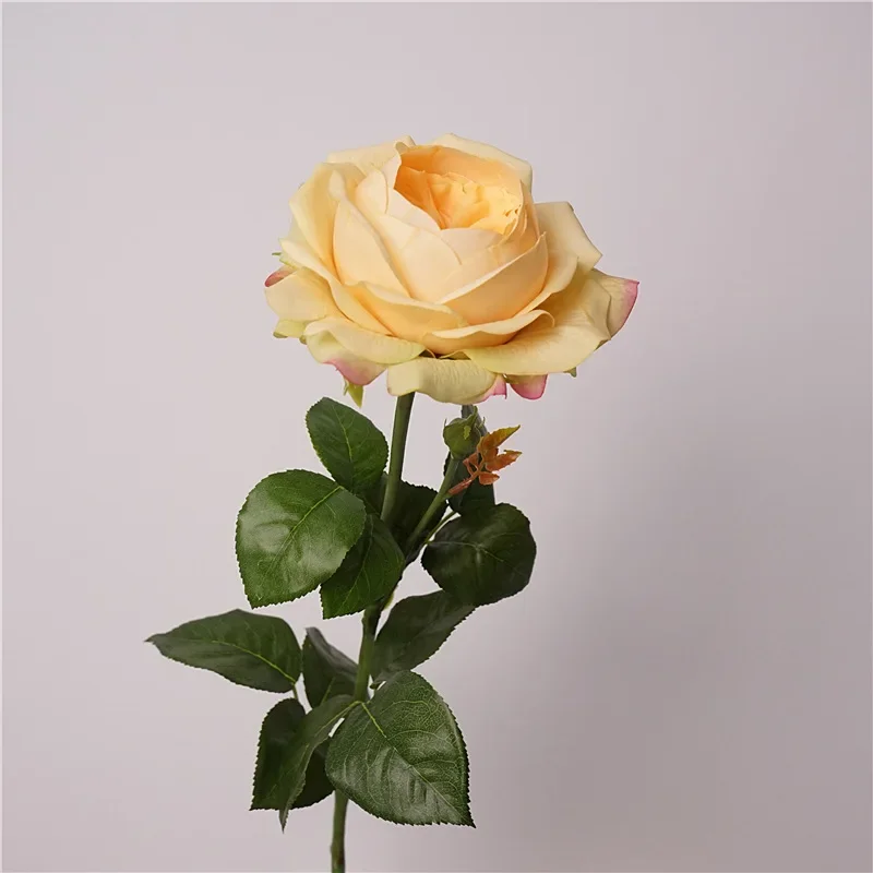 5 Stück Feuchtigkeitsspendende Austin Latex-Rosen, Künstliche Blumen mit Echtem Touch, Luxuriöse Heimdekoration, Party, Event, Hochzeit, Rosen-Blumenstrauß – Detail 7