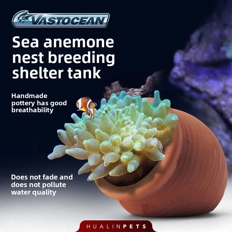

Vastocean Handmade Porous Ceramic Anemone Cave for Breeding and Hiding, Safe Shelter for Marine Aquarium