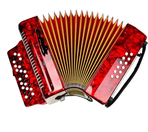 

31-Key 12-Bass Piano Accordion Diatonic Bayan Accordion B/C System Factory Direct for Entry Level Players