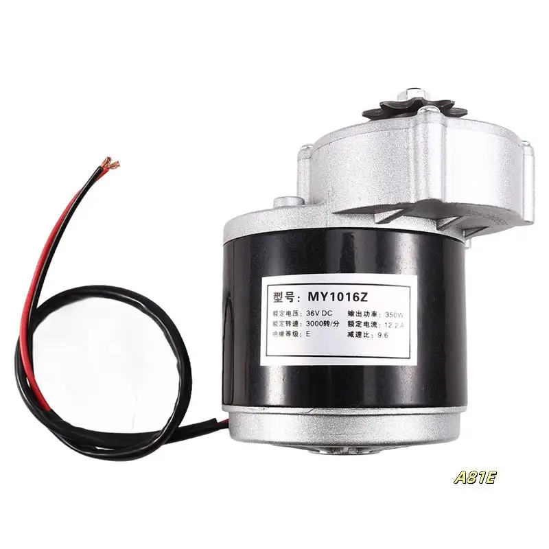 

MY1016Z 12V 250W Gear Reduction Electric Motor With 9 Tooth Sprocket Brushed 9 Tooth Sprocket Brushed DC Motors