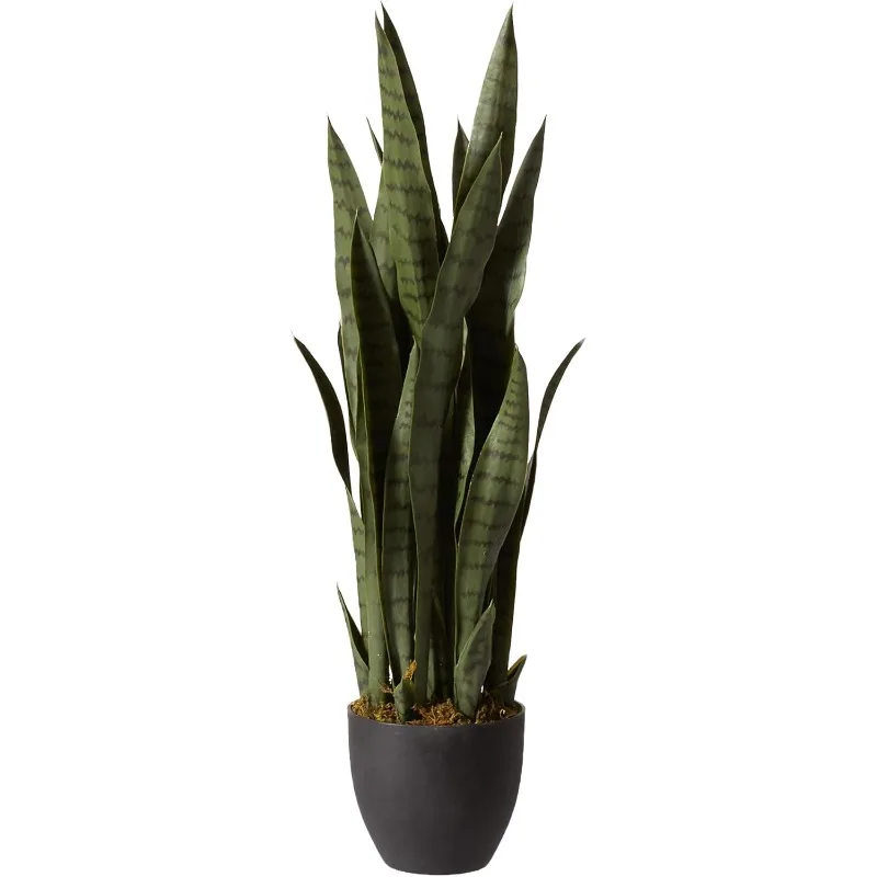 

Green 4855 35in. Sansevieria with Black Planter