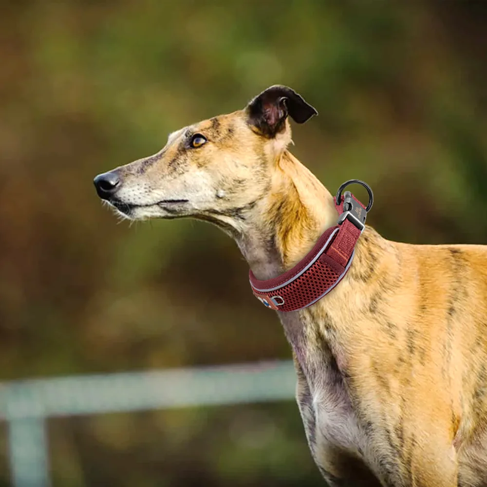 Personalisiertes Hundehalsband aus Mesh, atmungsaktiv, reflektierende Haustier-Halskette, langlebig, für kleine, mittelgroße und große Hunde, kostenlose Gravur – Detail 20