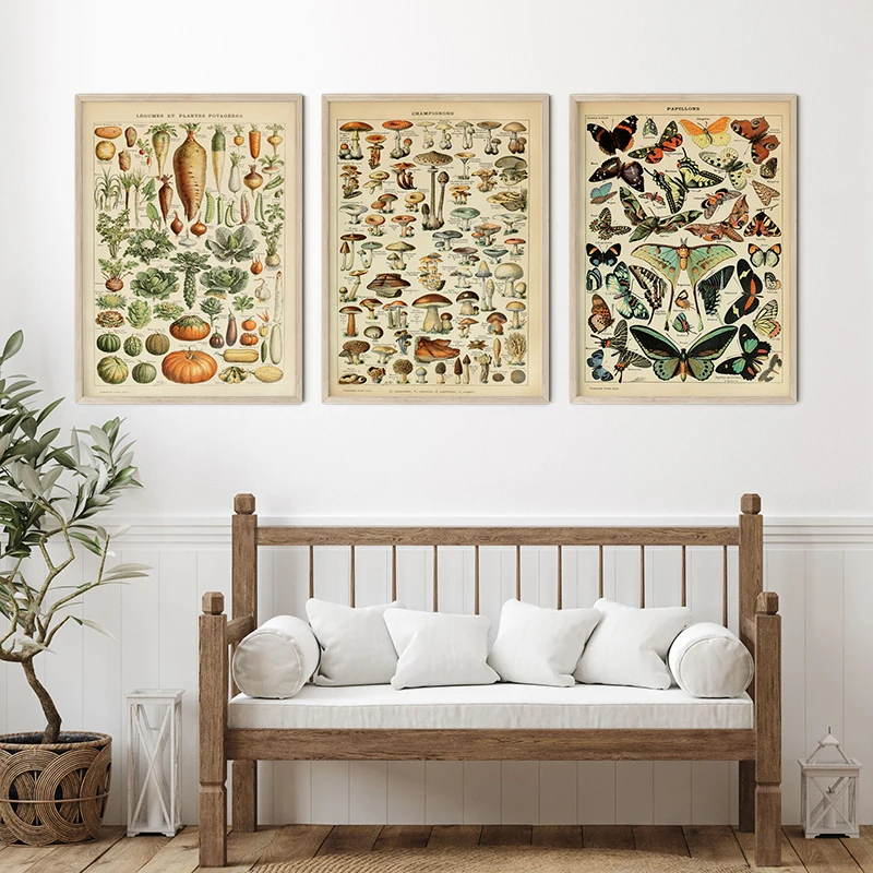 Vintage Palaeobios Botanical Retro Poster Insect Butterfly Mushrooms Canvas Oil Painting Wall Art Prints Wall Picture Home Decor