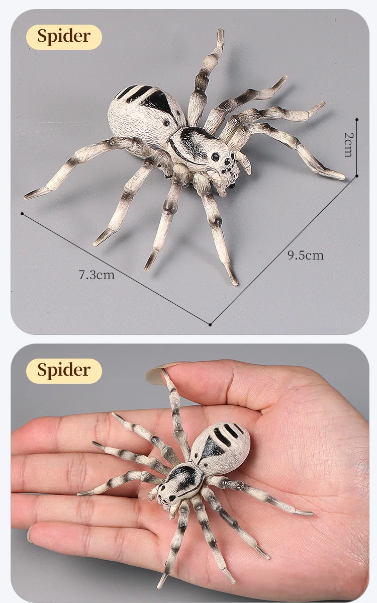 Pädagogische Insekten Spinne Spielzeug Zoo Action Figur Set Tier Welt Wissenschaft Kognitive Lernen Modell Simulation Dekor für Kinder – Detail 6