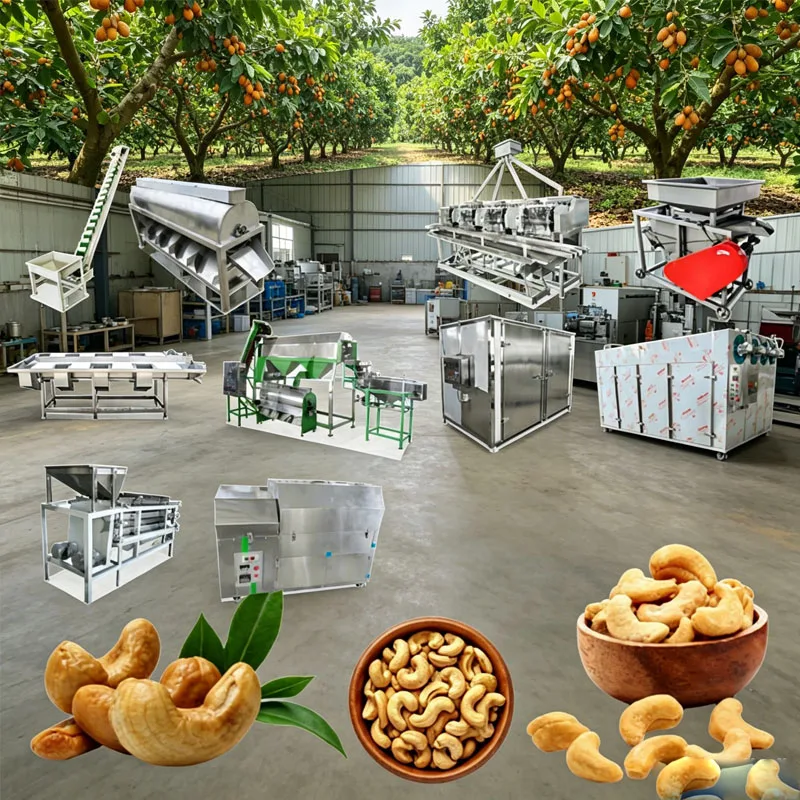 Commercial Cashew Processing Line with Steam Cracking Shelling Peeling and Drying Oven for White Kernels Customized