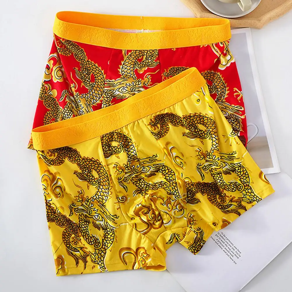 2024 Men Dragon Boxer Briefs Underwear Year Of The Dragon Boxer Briefs Mid-rise Graphene Dragon Pattern Boxer Shorts Men Boxers