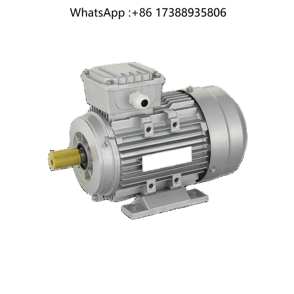 Electric Marathon High Voltage AC Three Phase Motor