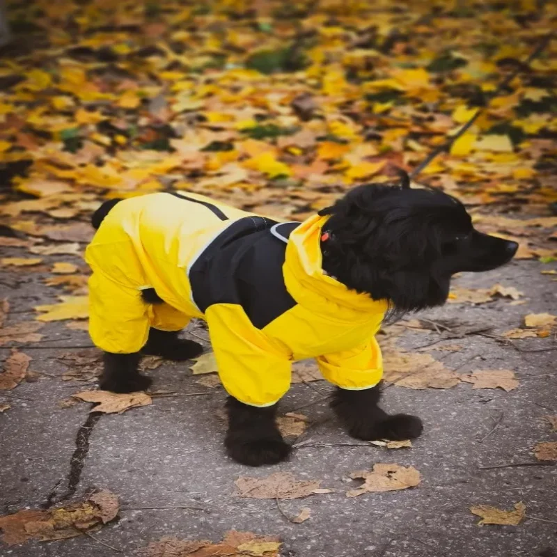 

Outdoor Rainy Day Large Dog Raincoat for Border Collie Labrador Shiba Inu - Four-Legged Waterproof and Windproof Pet Clothing