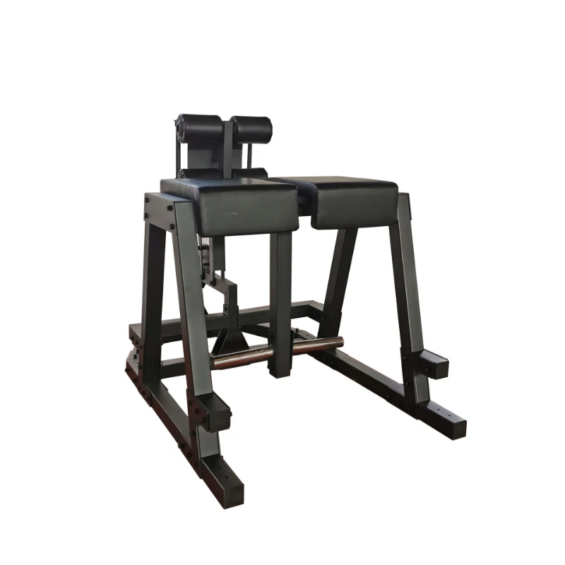 

Waist, abdomen and back trainer, Roman chair, prone reverse leg lift, leg flexion and hip training