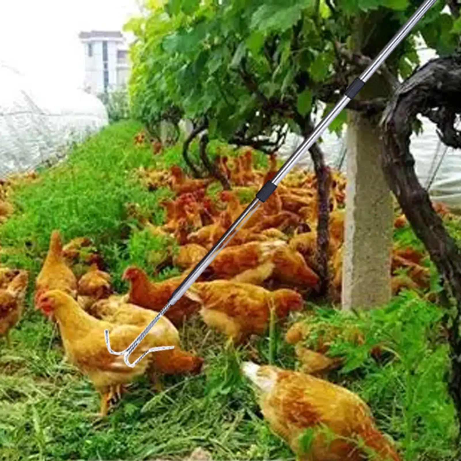 Chicken Leg Hook Catcher Stainless Steel Material Handy Poultry Net Accessory for Catching Geese Ducks Chickens