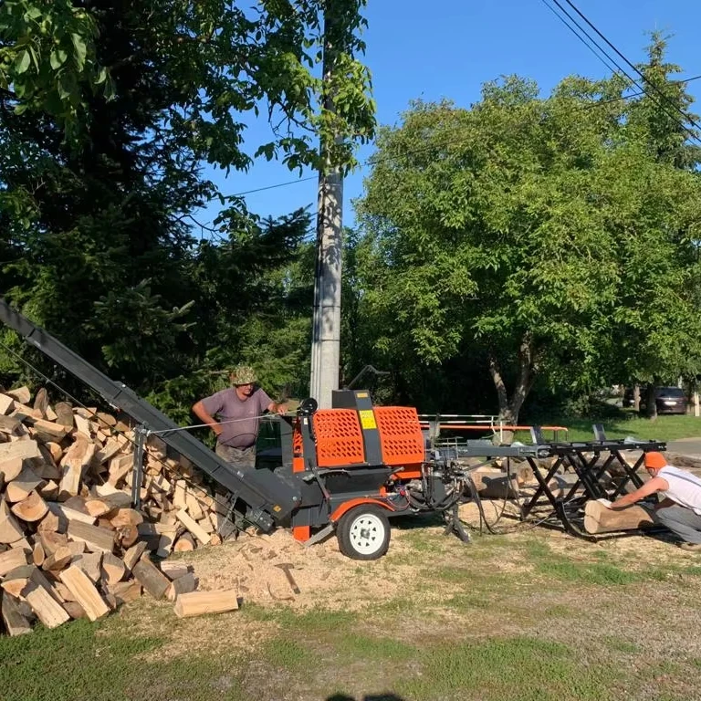 Forestry Machinery Hydraulic Automatic Log Splitter Firewood Processor With TUV CE Approved Engine Firewood Processor